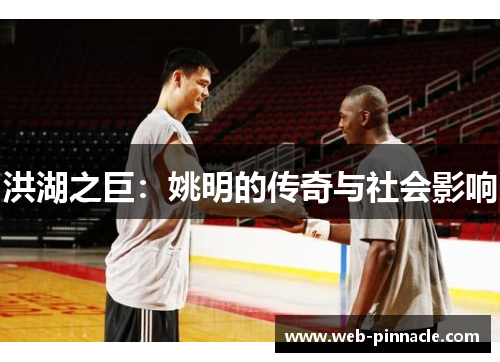 洪湖之巨：姚明的传奇与社会影响