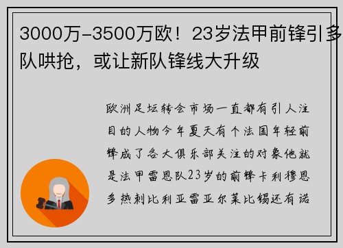 3000万-3500万欧！23岁法甲前锋引多队哄抢，或让新队锋线大升级